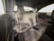 2020 Mercedes-Benz E-Class E 53 AMG® 4MATIC®